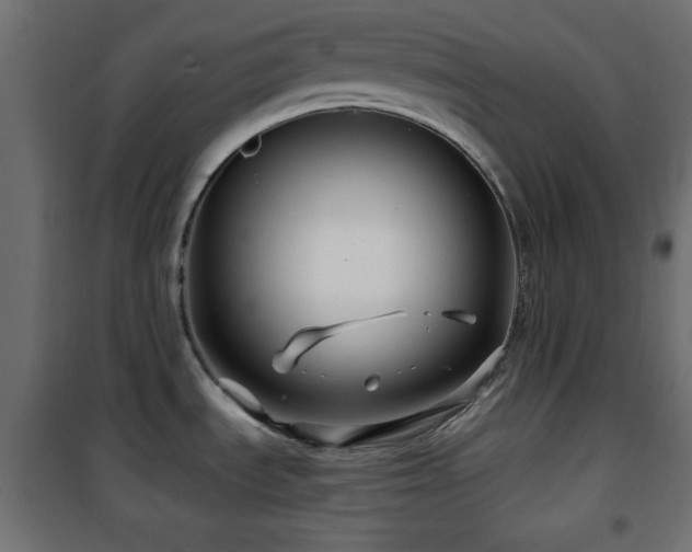 X0000101451535200807071353