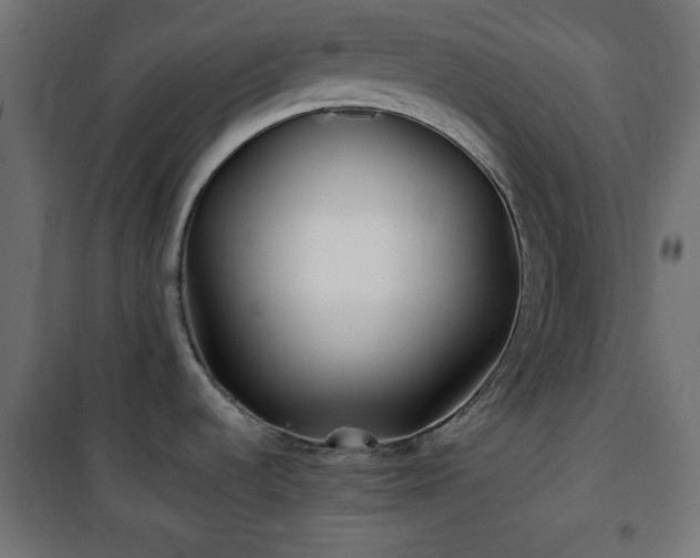 X0000101451536200807071353