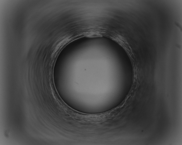 X0000101450001200807141254