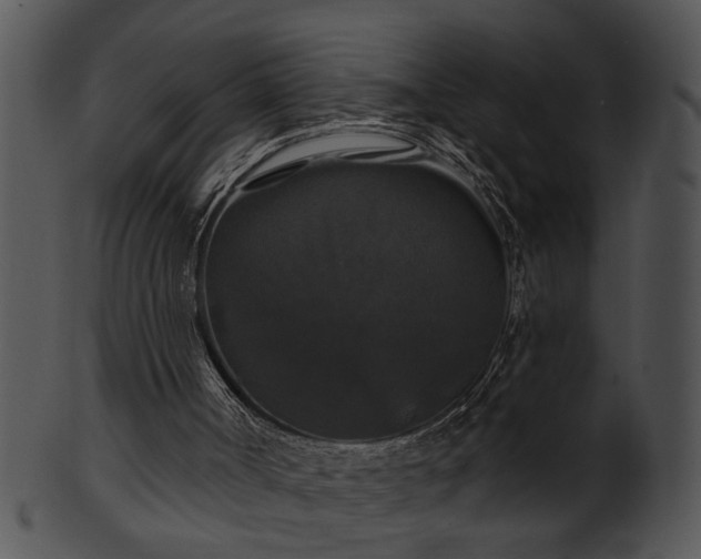 X0000101450002200807141254