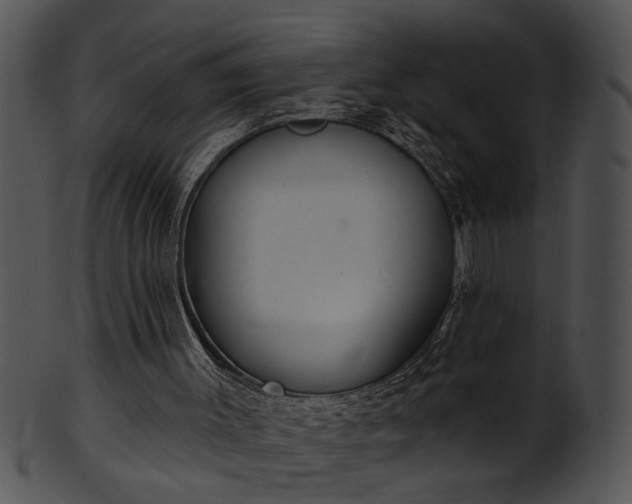 X0000101450003200807141254