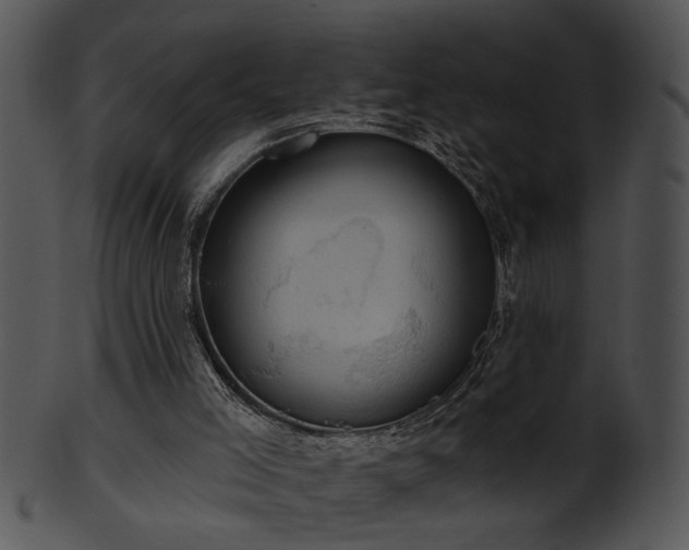 X0000101450005200807141254