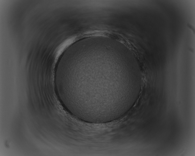 X0000101450006200807141254