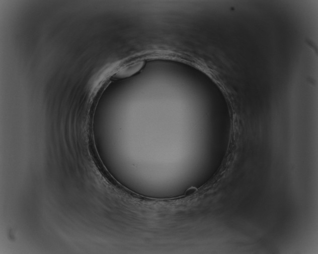 X0000101450007200807141254