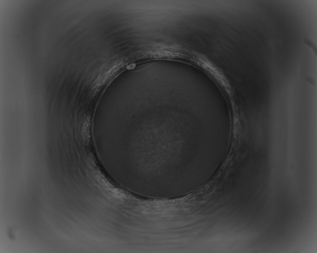 X0000101450009200807141254