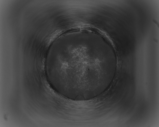 X0000101450010200807141254