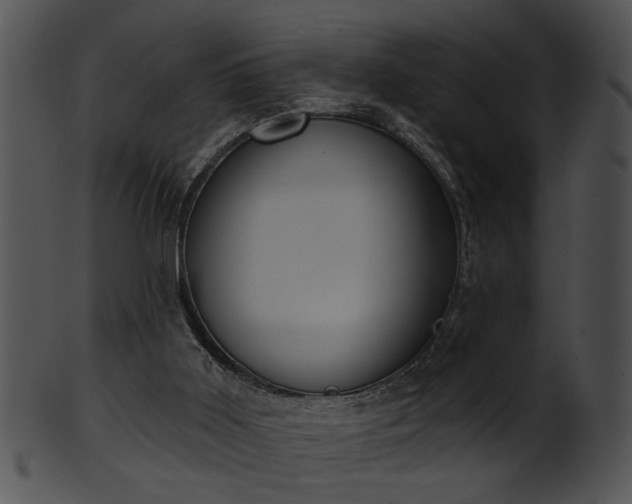 X0000101450011200807141254