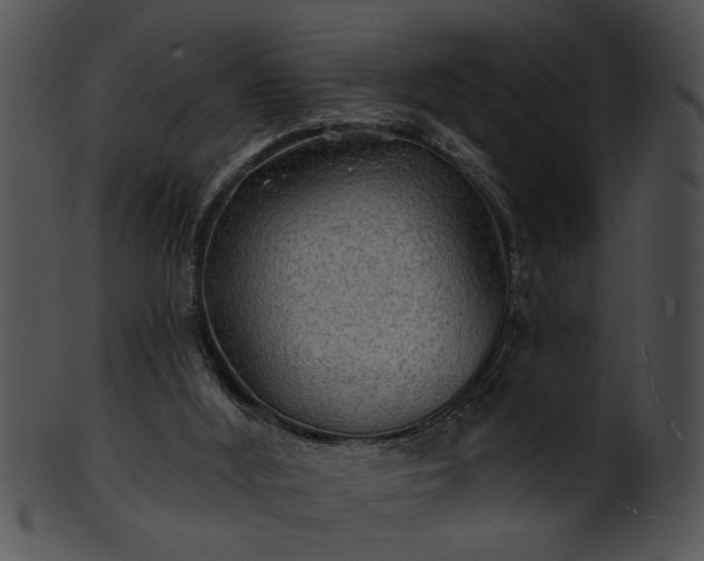 X0000101450012200807141254