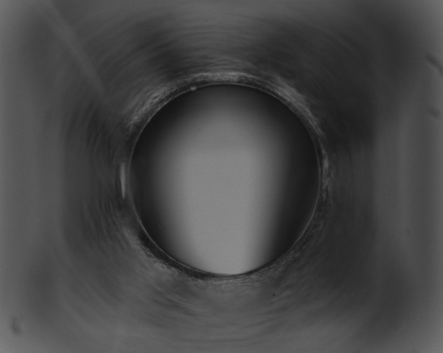 X0000101450013200807141254