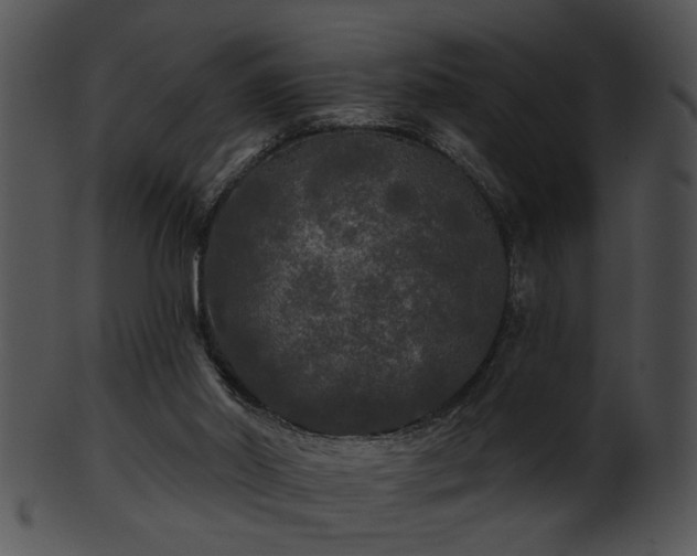 X0000101450014200807141254