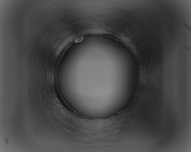 X0000101450015200807141254