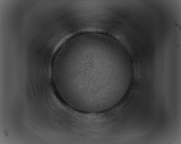 X0000101450016200807141254