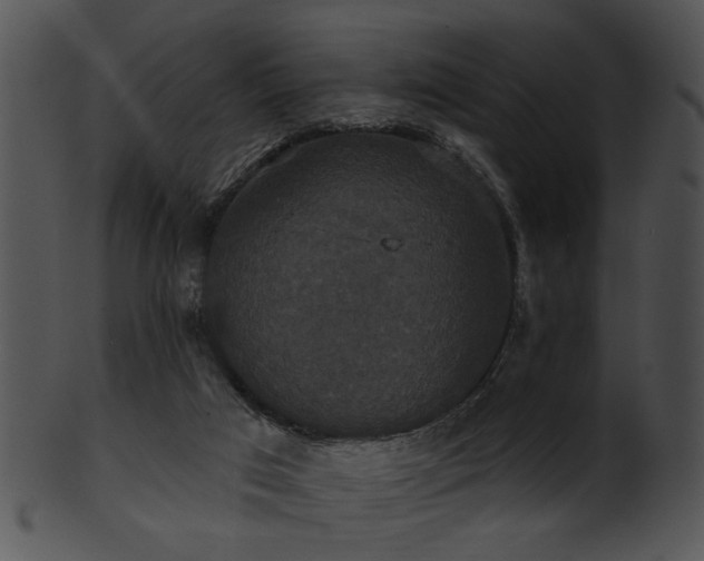 X0000101450017200807141254