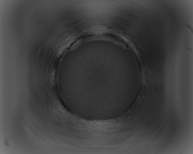 X0000101450018200807141254