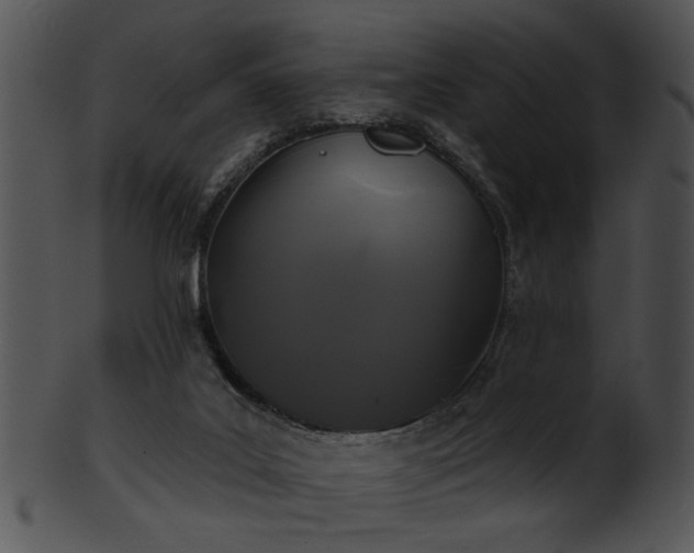 X0000101450019200807141254