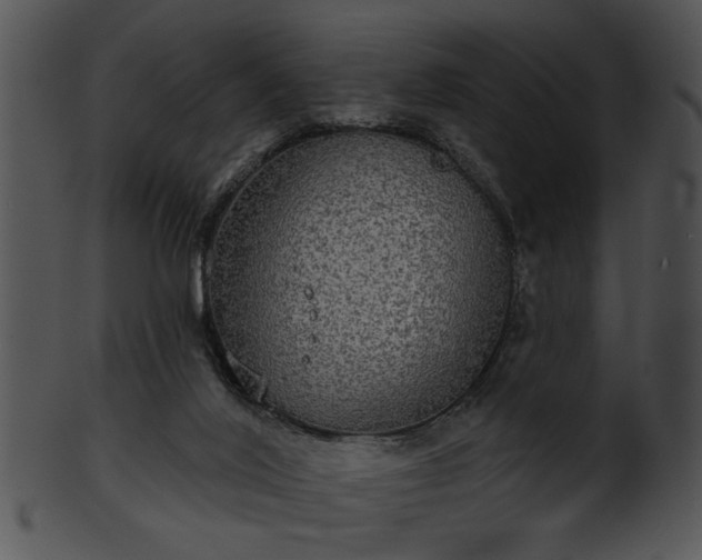 X0000101450020200807141254