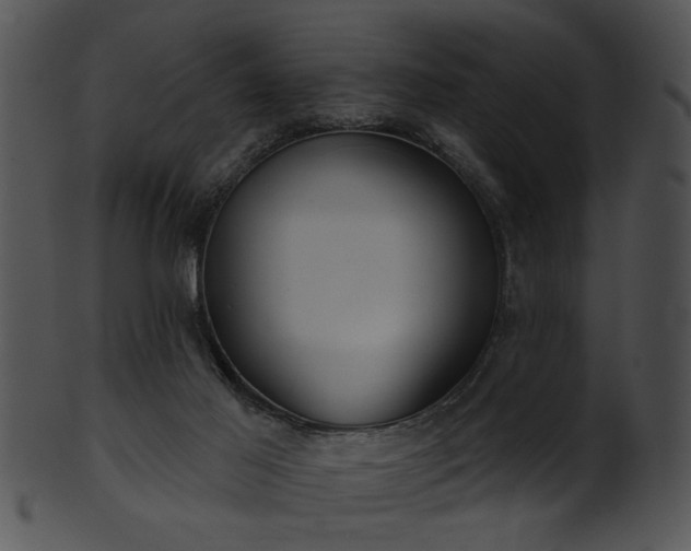 X0000101450021200807141254