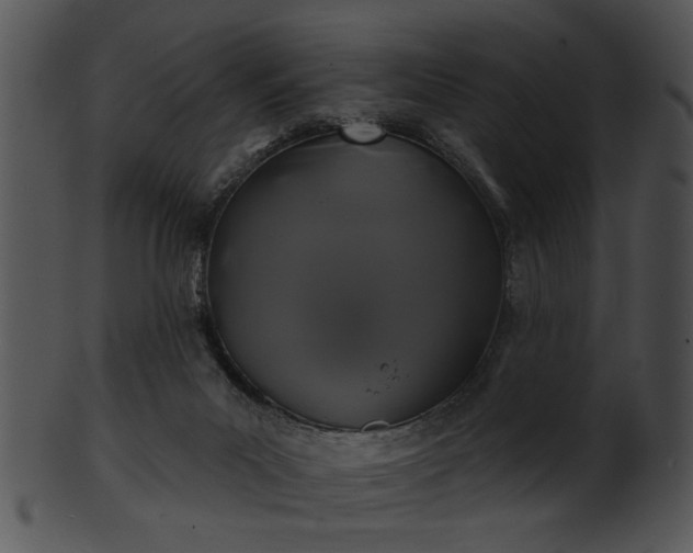 X0000101450023200807141254