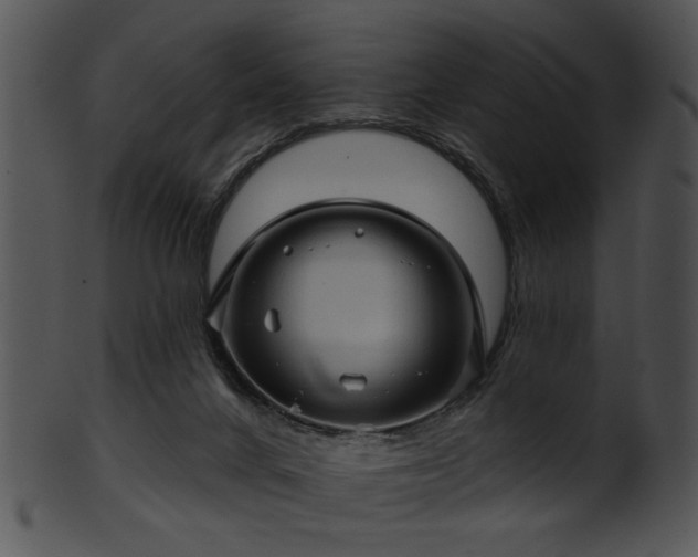 X0000101450024200807141254