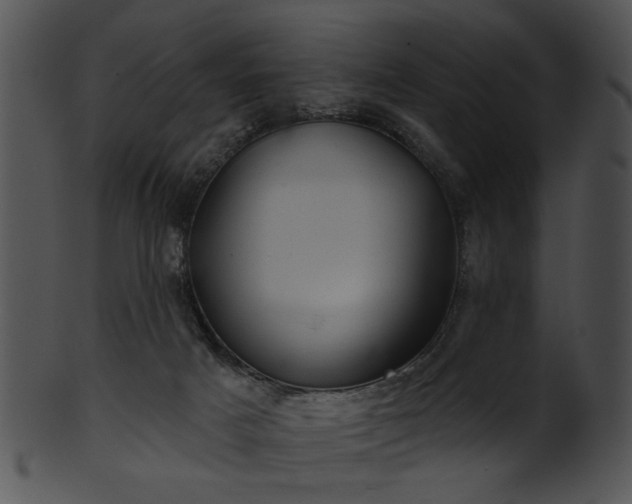 X0000101450025200807141254