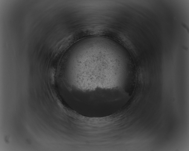 X0000101450026200807141254