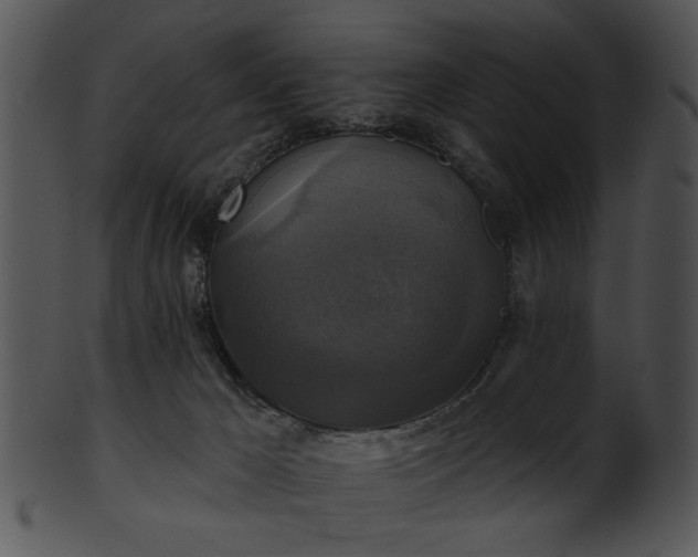 X0000101450029200807141254