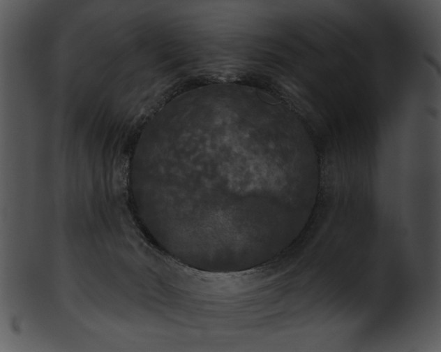 X0000101450030200807141254