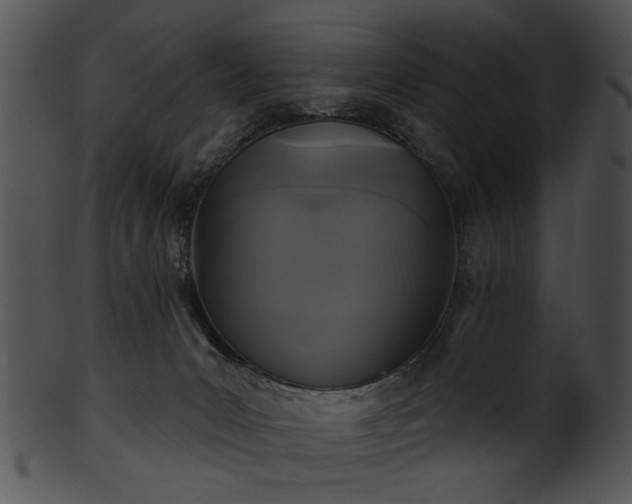 X0000101450031200807141254