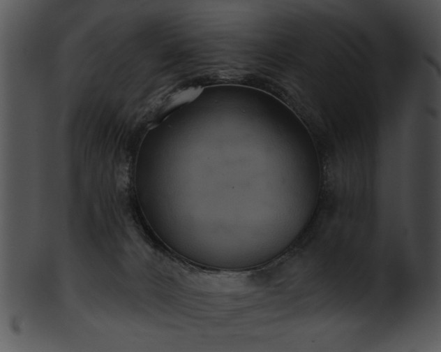 X0000101450032200807141254