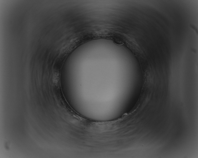 X0000101450033200807141254