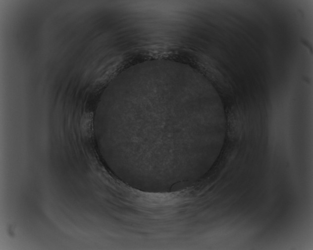 X0000101450034200807141254