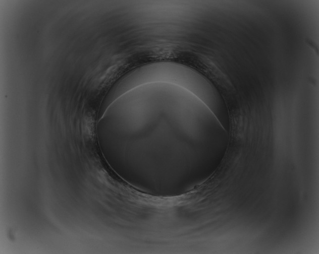 X0000101450035200807141254