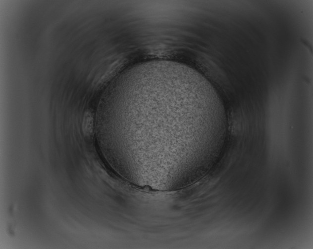 X0000101450036200807141254