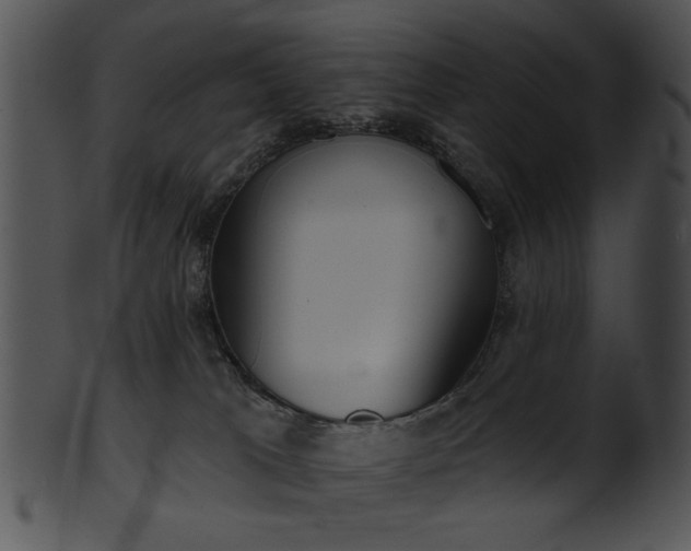 X0000101450037200807141254