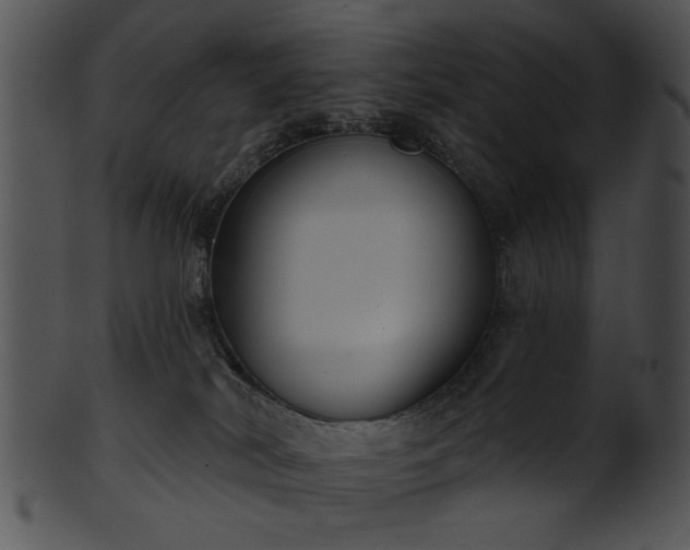 X0000101450038200807141254