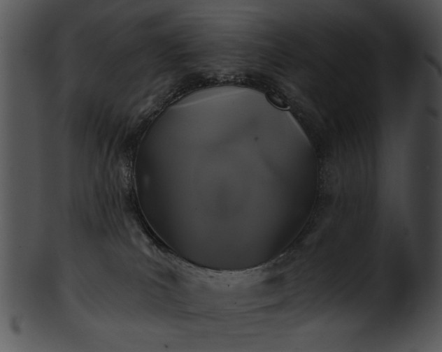 X0000101450039200807141254