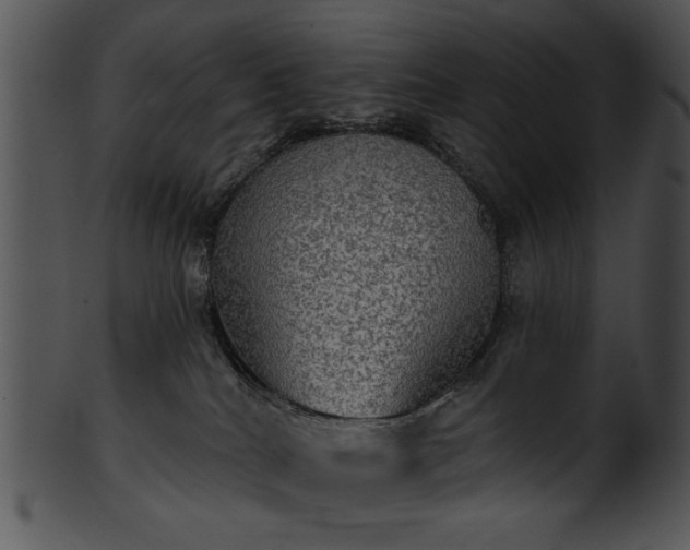 X0000101450040200807141254