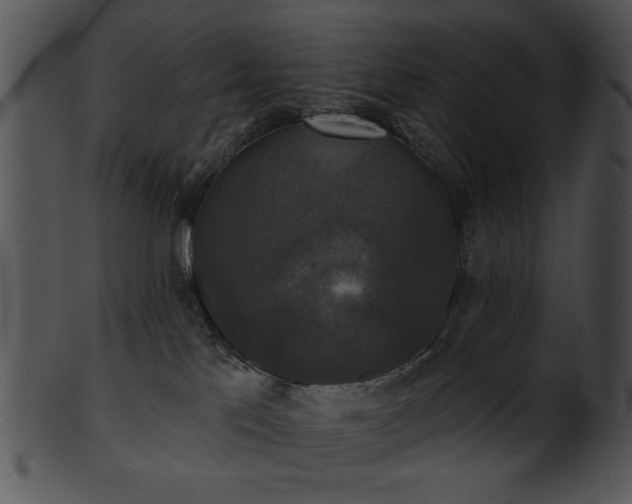 X0000101450041200807141254