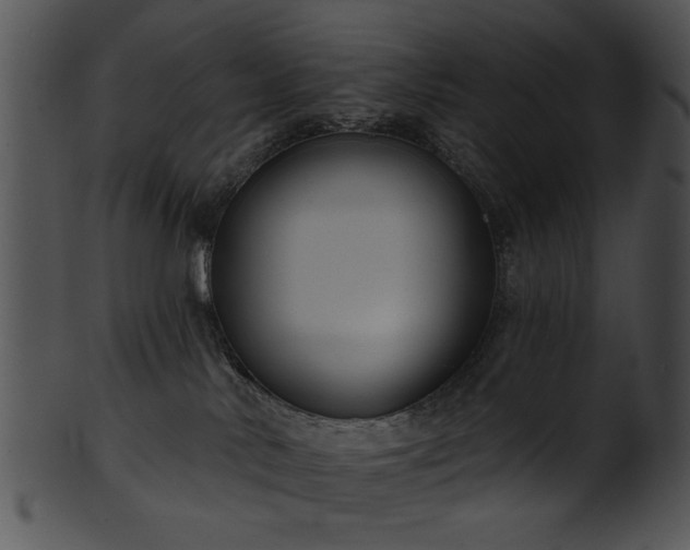 X0000101450042200807141254