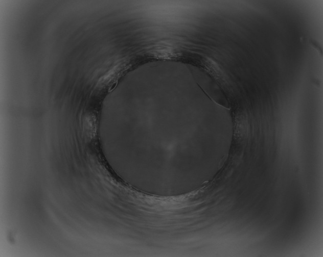 X0000101450043200807141254