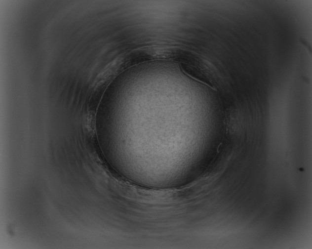 X0000101450044200807141254