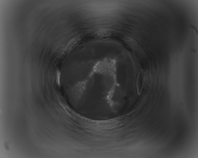 X0000101450046200807141254