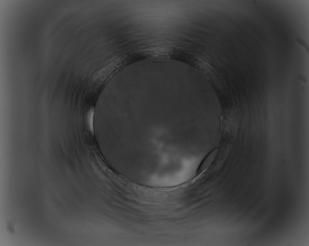 X0000101450047200807141254