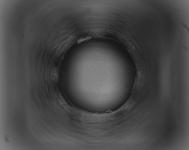 X0000101450048200807141254