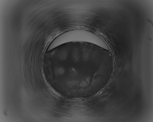 X0000101450049200807141253