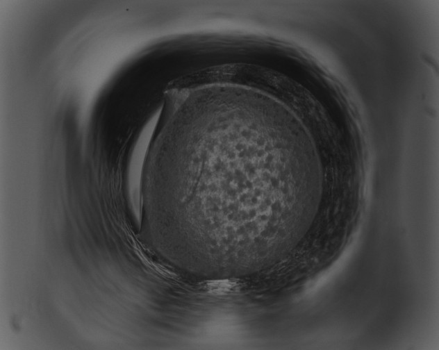 X0000101450050200807141253