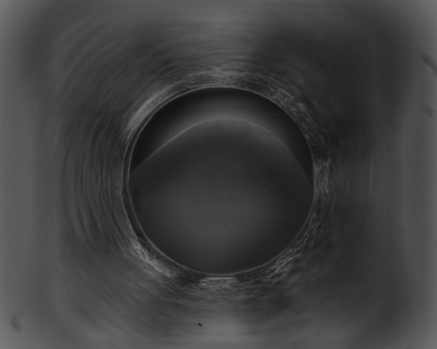 X0000101450051200807141253