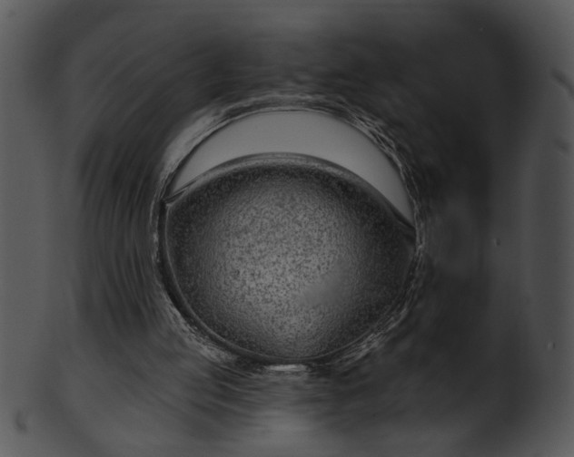 X0000101450053200807141253