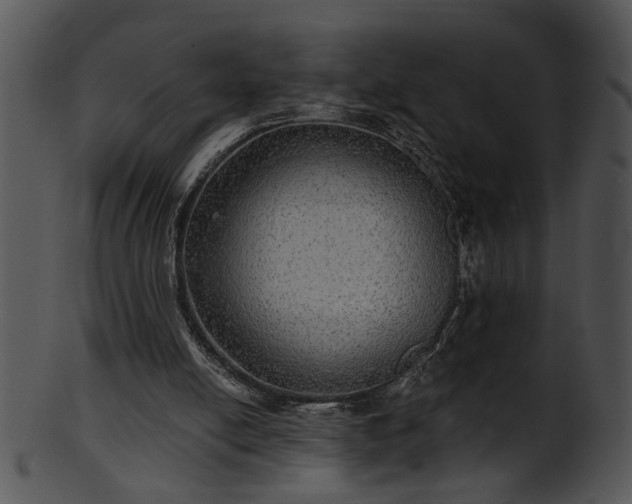 X0000101450054200807141253