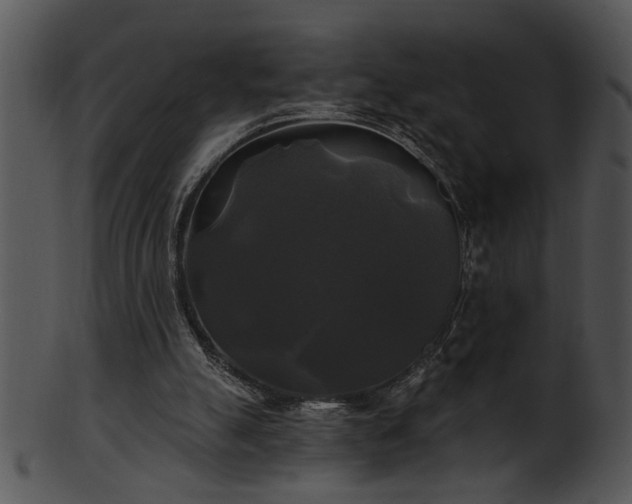 X0000101450055200807141253